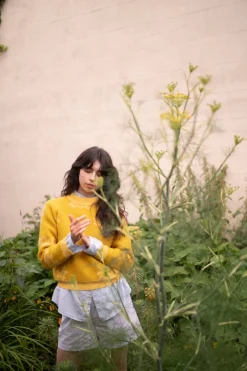 New Fauna Jumper - Daffodil Lambswool Jumpers